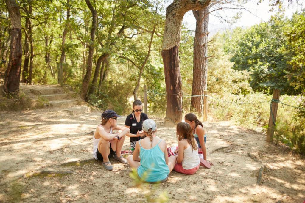 Camping Laroque Des Alberes Rum bild
