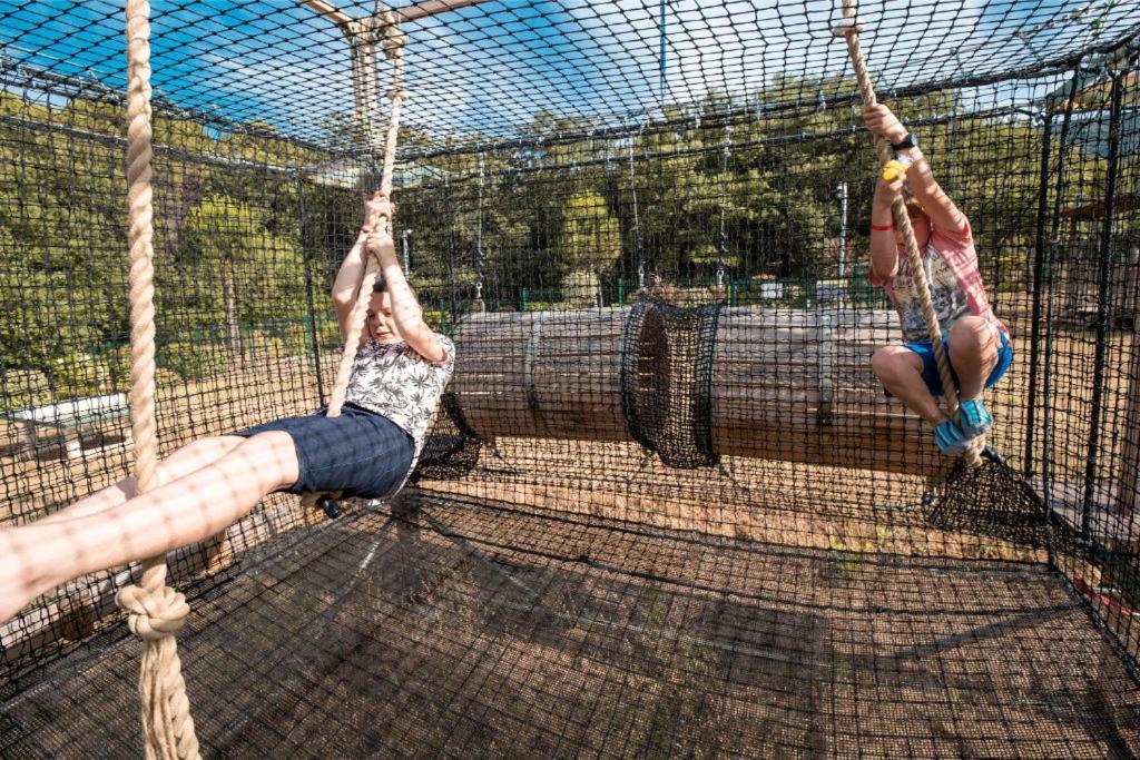 Camping Laroque Des Alberes Rum bild